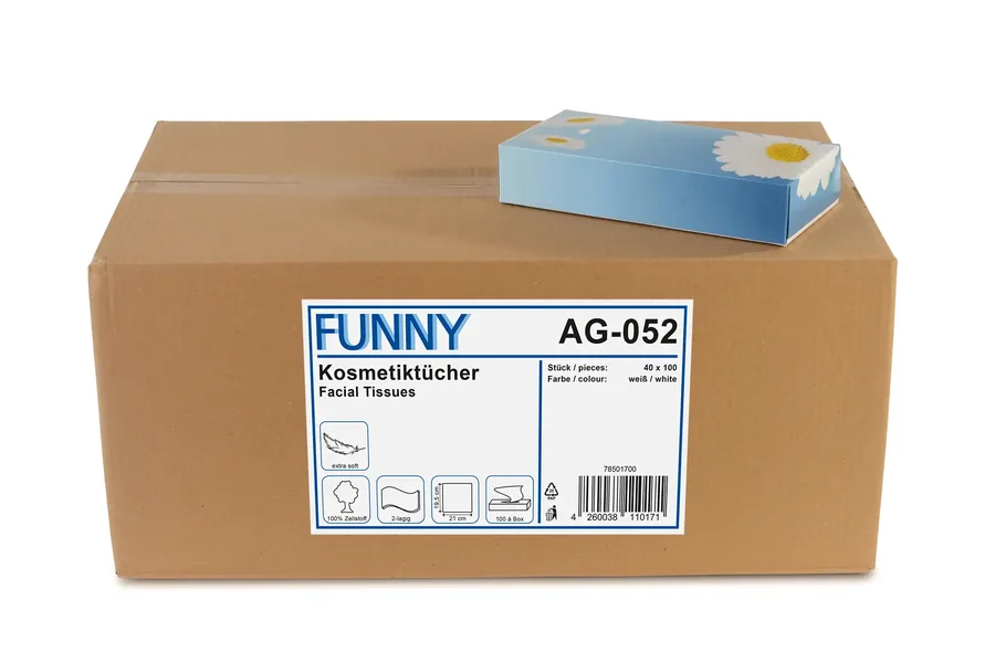 Kosmetikboxen 2-lagig, Zellstoff, 40 Boxen, 100 Tücher / Box