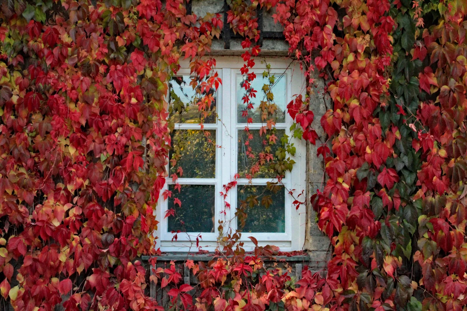 Herbstputz: Wohnung winterfest machen