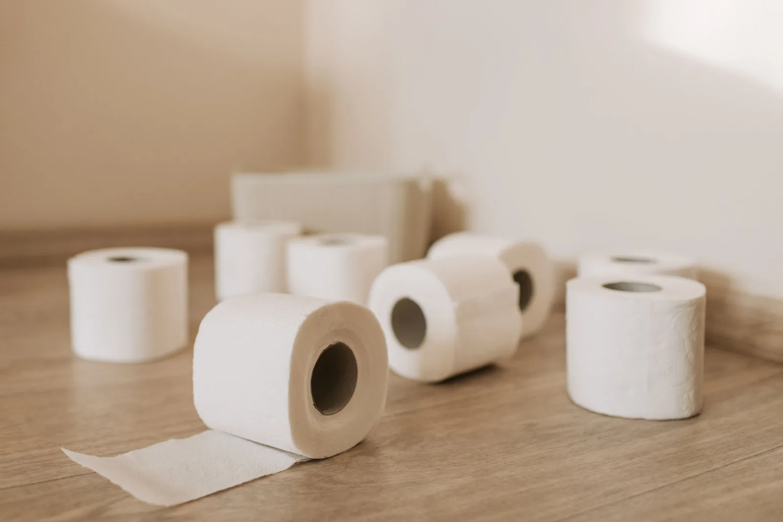 Hygienepapier: Toilettenpapier, Handtücher, Putzrollen