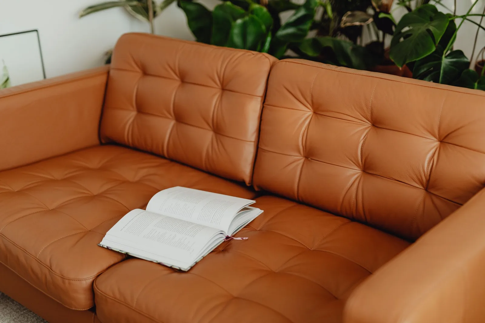 Ledersofa reinigen und pflegen